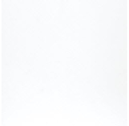 ABSOLUTE ZRXK0R WHITE